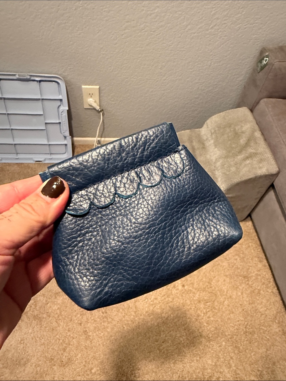 Portland Leather (Caspian ) Penny Pouch